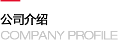 安徽诚岱智能科技有限公司